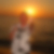 Profilbild von Norbert Speck