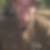 Profilbild von Ulf H. Wemken