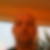 Profilbild von Lothar Knäuper