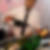 Profilbild von Jens Wittwer