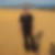 Profilbild von Ralf Thevis
