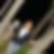 Profilbild von Anett Abbott