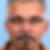 Profilbild von Martin Pauer