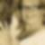 Profilbild von Susan Piske