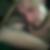 Profilbild von Andreas Kurepkat