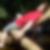 Profilbild von Gavin Rehder