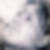 Profilbild von Birgit Rosenstein