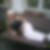 Profilbild von Conny Brandau