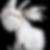 Profilbild von Inge Brandt