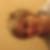 Profilbild von Claudia Hetzel