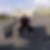 Profilbild von Marcus Ruhe
