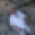 Profilbild von Thomas Weickert