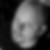 Profilbild von Tobias Reimann