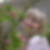Profilbild von Elke Fauck