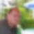 Profilbild von Silvio Hachmann