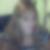 Profilbild von Daniela Pötschulat