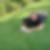 Profilbild von Roman Vietzent