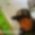 Profilbild von Phillip Militzer