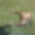 Profilbild von Mario Razek
