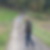 Profilbild von Dirk Becker