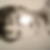 Profilbild von Manuel Neumann
