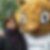 Profilbild von Bettina Fleissner