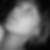 Profilbild von Kristin Recke