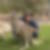 Profilbild von Michael Grewe