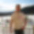 Profilbild von Andre Wolf