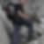 Profilbild von Matthias Maier