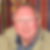 Profilbild von Michael Pohlandt 