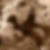 Profilbild von Jeannette Sparwald