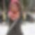 Profilbild von Anni Evermann