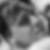 Profilbild von Sebastian Eckert