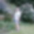 Profilbild von Willi Anaers