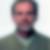 Profilbild von Norbert Nitsch
