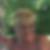 Profilbild von Christine Braun