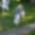 Profilbild von Sabine Cobin