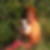 Profilbild von Birgit Weßelmann