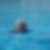 Profilbild von Erika König