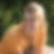 Profilbild von Maren Romeiks