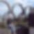 Profilbild von Ursel Engels