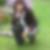 Profilbild von Ursula Schippers