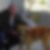 Profilbild von Wilfried Schnibbe
