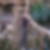 Profilbild von Birgit Kleen