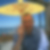 Profilbild von Reinhard Schaaf