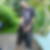 Profilbild von Oliver Reber