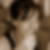 Profilbild von Gabriele Norden