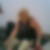 Profilbild von Cornelia Buschke