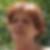 Profilbild von Eva Stangl